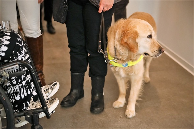 Eine Rollstuhlnutzerin und eine Person mit Assistenzhund im Gespräch auf einer Veranstaltung